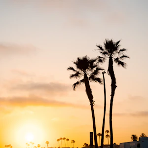Sunrise beach golden hour