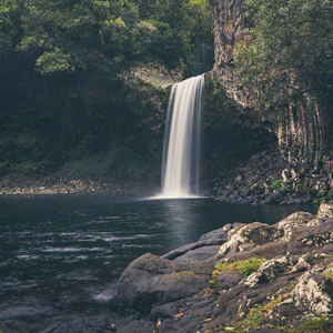 Waterfall in lush green forest
